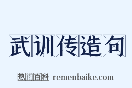 武训传造句是什么意思的图片